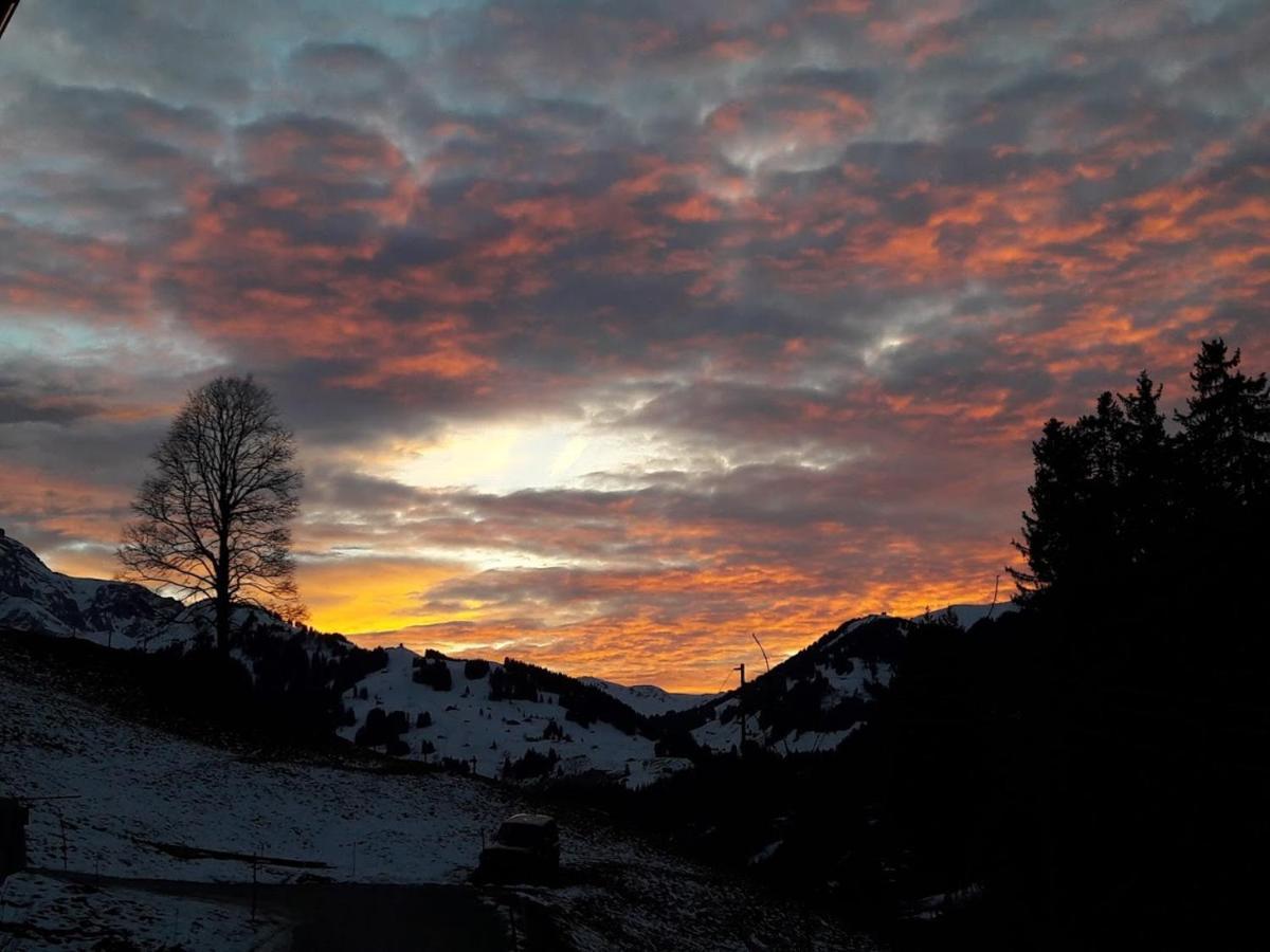 Ferien In Der Bergwelt Von Adelboden Bed & Breakfast Exterior photo