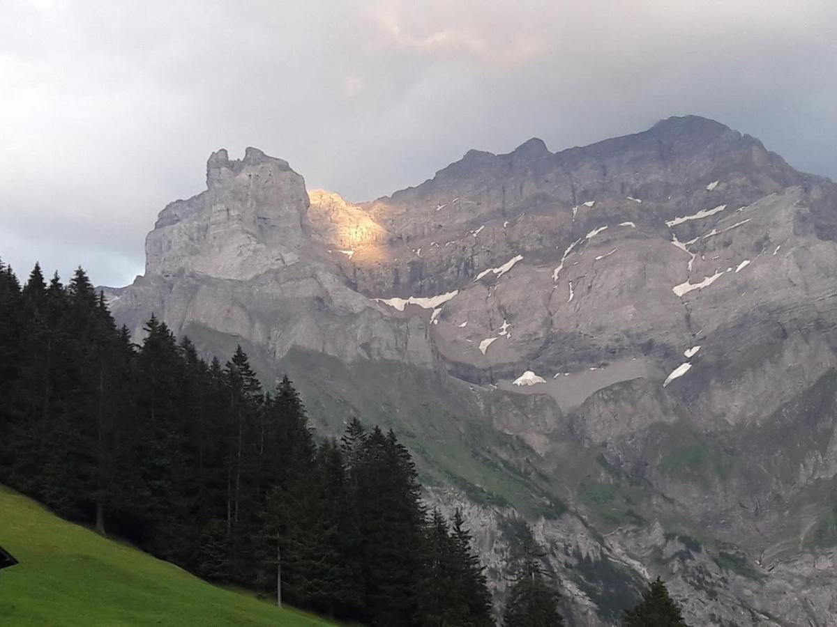 Ferien In Der Bergwelt Von Adelboden Bed & Breakfast Exterior photo