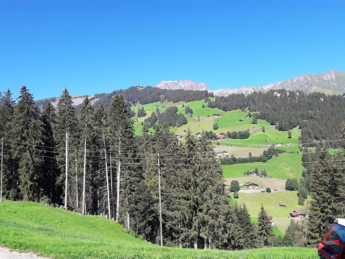 Ferien In Der Bergwelt Von Adelboden Bed & Breakfast Exterior photo